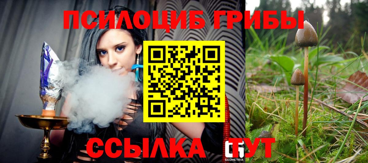 Галлюциногенные грибы GOLDEN TEACHER Чернушка