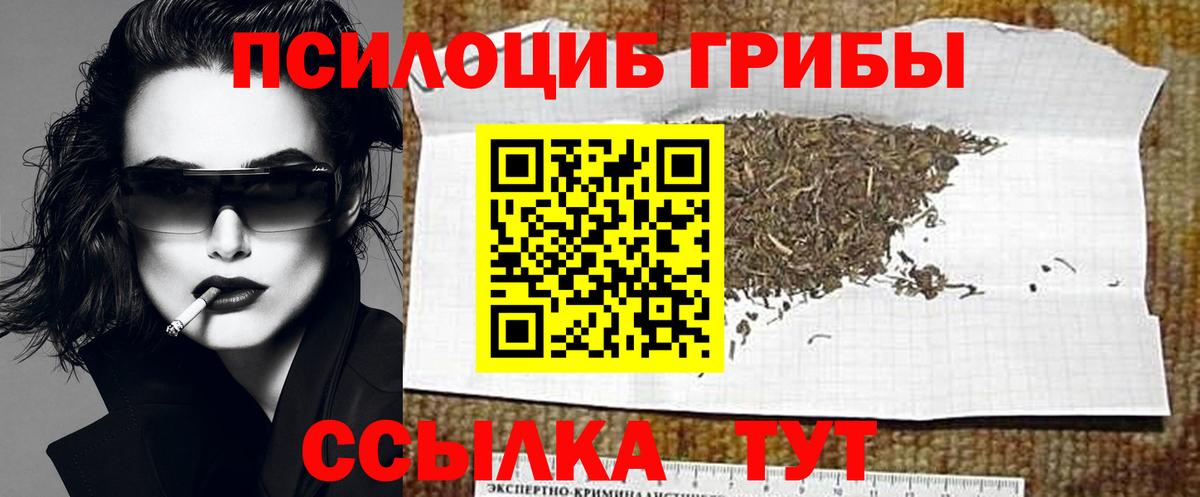 Псилоцибиновые грибы Psilocybine cubensis  Вход с VPN  Галлюциногенные грибы Psilocybine cubensis  Чернушка 